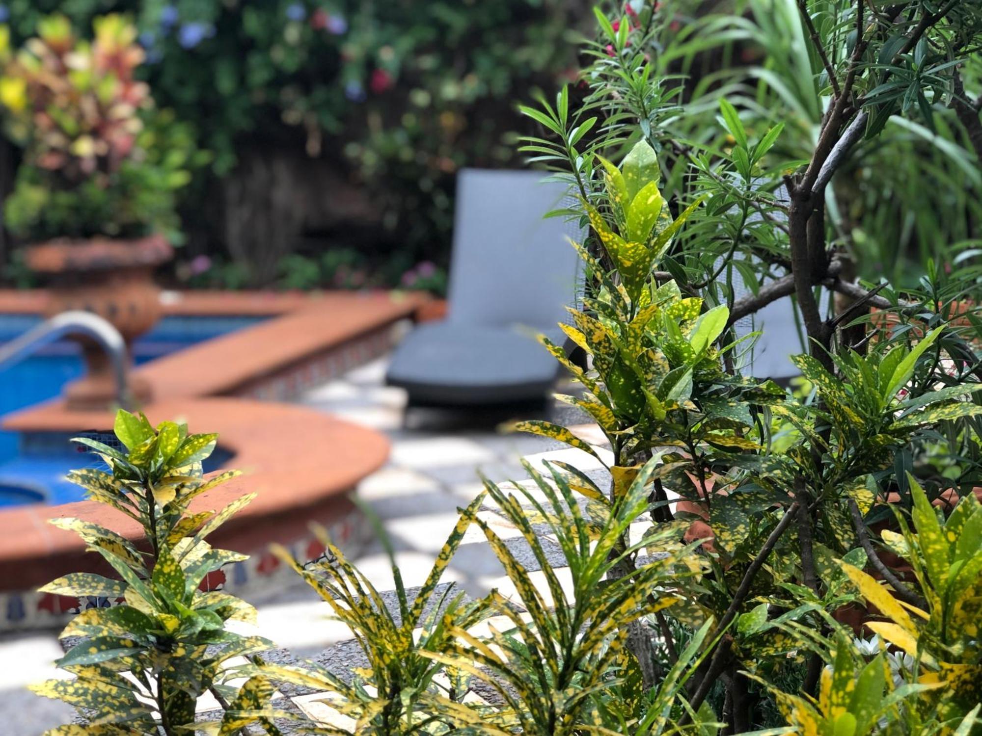 Casa Del Sol Inn Ajijic Kültér fotó
